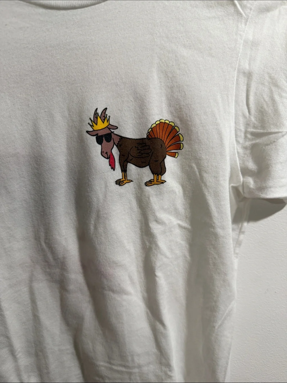 Kids White Short-Sleeve Tee with Cartoon Turkey Graphic